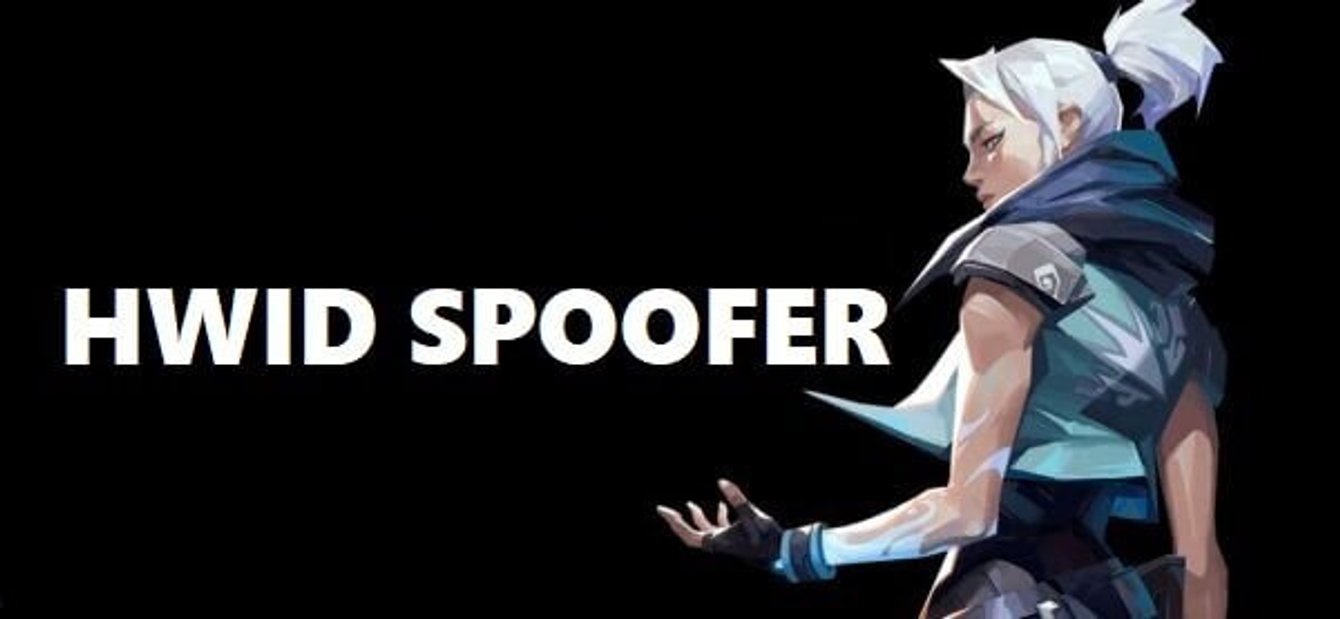 VALORANT SPOOFER 1