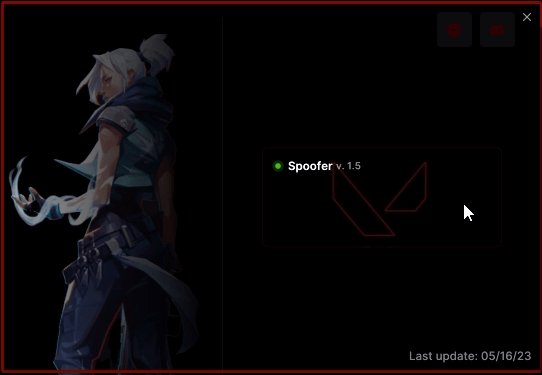 VALORANT SPOOFER 3
